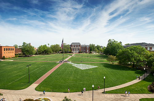 Individual flags representing each MSU graduate student