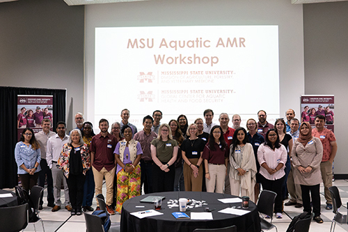 Mississippi State researchers discussed global challenges of antimicrobial resistance