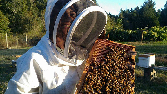 Priyadarshini Basu investigates a hive