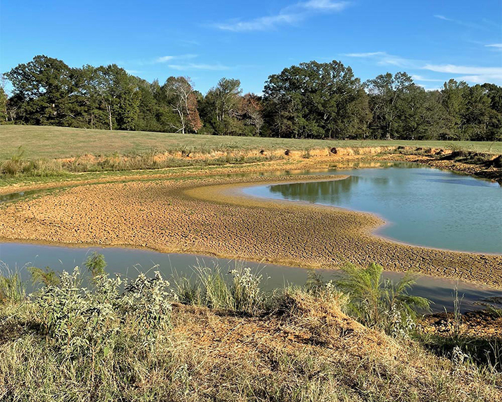 Mississippi pond drying up