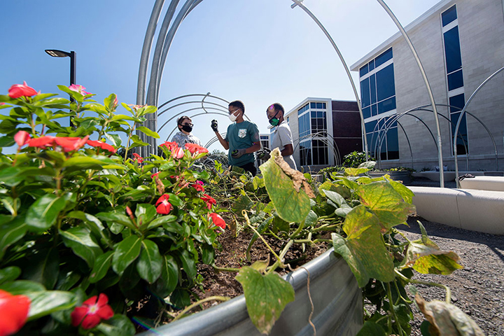 Students examine plants