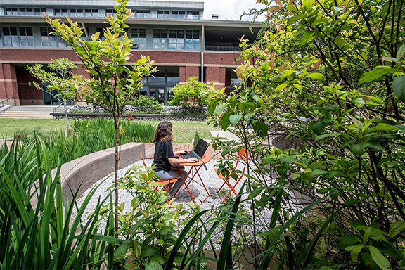 A student studies in the courtyard of Mississippi State’s newly renamed Department of Landscape Architecture and Environmental Design