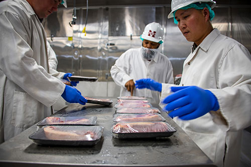 MSU scientists prepare steaks on styrofoam trays