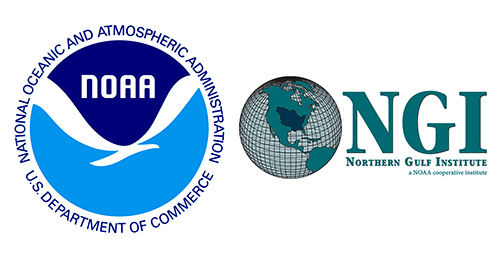 Logos for NOAA and NGI