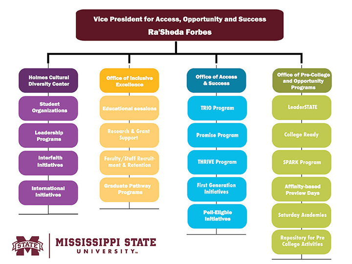 Division of Access, Opportunity and Success org chart