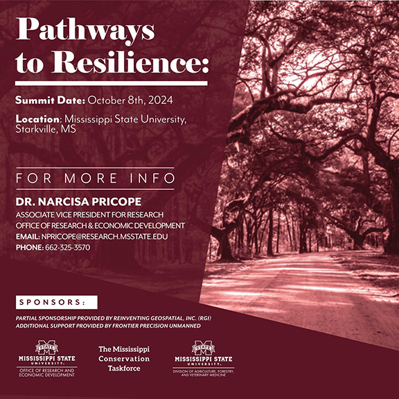 Pathways to Resilience Summit flyer