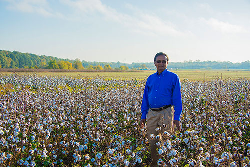 Raja Reddy poses in a cotton field